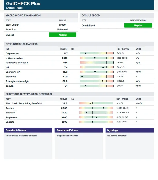 Laudo GutCHECK Plus de exemplo, página 1: Resumo e marcadores funcionais