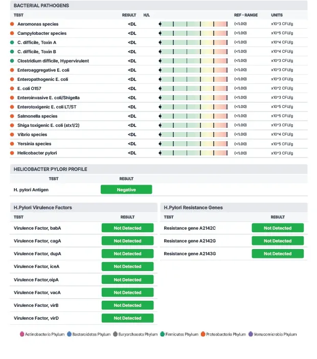 Laudo GutCHECK Plus de exemplo, página 6: Patógenos bacterianos e H. pylori